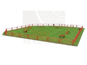 Circuito Canino Agility El Maderal