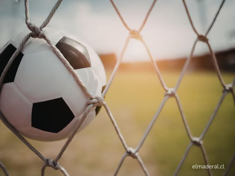 arcos de futbol y multideporte