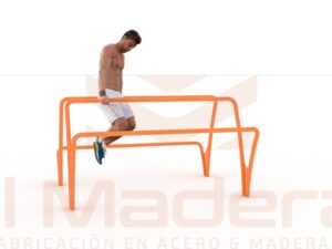 paralela multinivel
